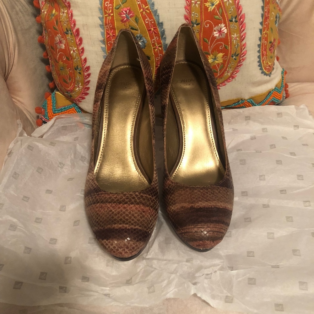 Circa Joan & David Brown Heels